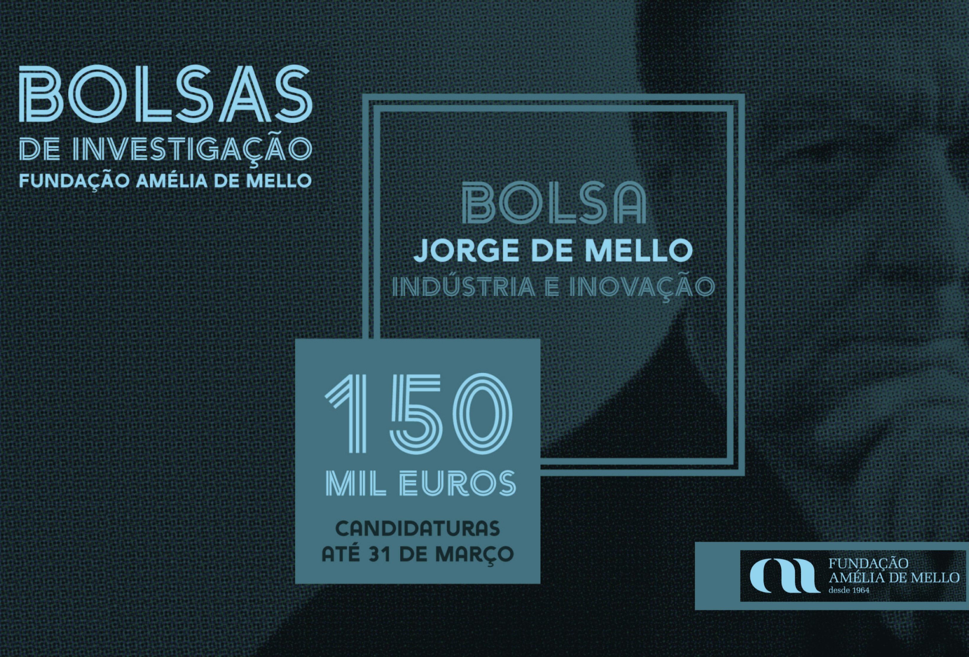 capa ilustrativa das bolsas de investigação jorge de mello